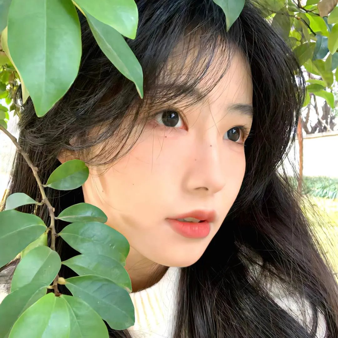 TV剧集