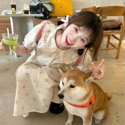 人民与国王